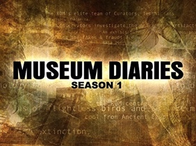 Museum Diaries